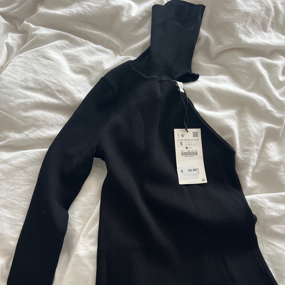 Zara Turtleneck